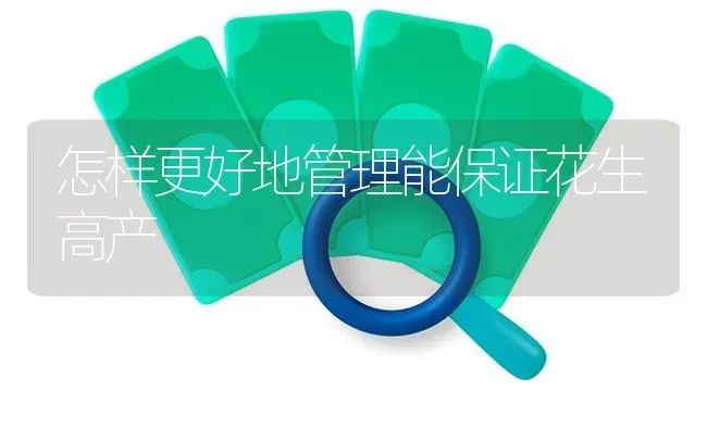 怎样更好地管理能保证花生高产 | 养殖技术大全