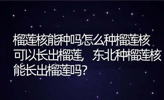 榴莲核能种吗怎么种榴莲核可以长出榴莲,东北种榴莲核能长出榴莲吗？ | 养殖科普