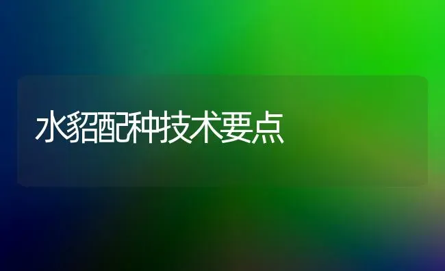 水貂配种技术要点 | 养殖知识