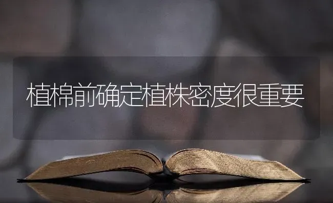 植棉前确定植株密度很重要 | 养殖知识