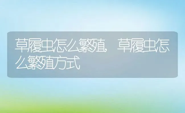 草履虫怎么繁殖,草履虫怎么繁殖方式 | 养殖资料