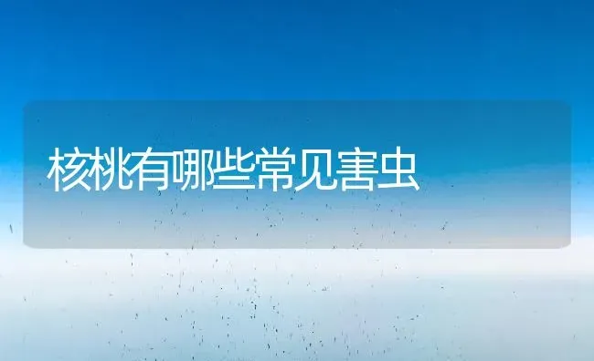 核桃有哪些常见害虫 | 养殖技术大全