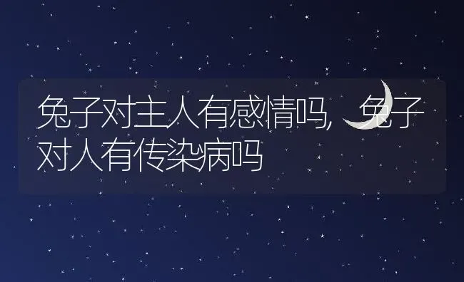 兔子对主人有感情吗,兔子对人有传染病吗 | 养殖科普