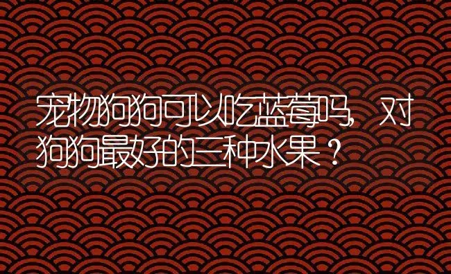 宠物狗狗可以吃蓝莓吗,对狗狗最好的三种水果？ | 养殖科普