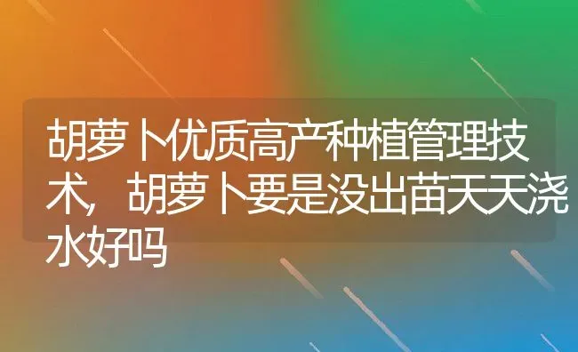 胡萝卜优质高产种植管理技术,胡萝卜要是没出苗天天浇水好吗 | 养殖学堂