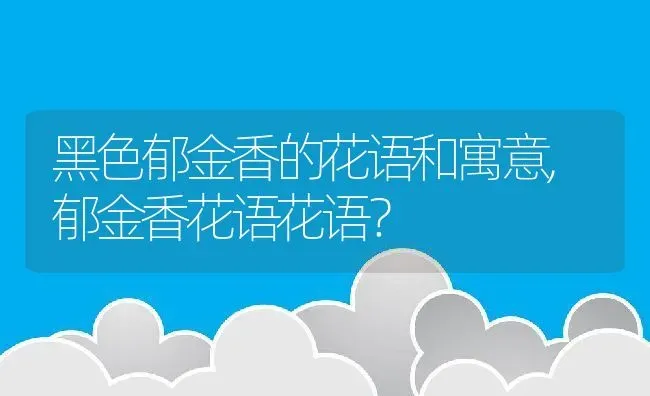 黑色郁金香的花语和寓意,郁金香花语花语？ | 养殖科普