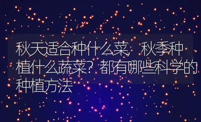 秋天适合种什么菜,秋季种植什么蔬菜？都有哪些科学的种植方法 | 养殖学堂