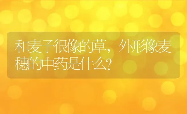 绿萝可以放在卧室吗,入住了卧室可以摆绿萝吗？ | 养殖科普