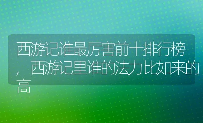 西游记谁最厉害前十排行榜,西游记里谁的法力比如来的高 | 养殖学堂