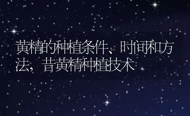 榕树花代表什么意思,榕树象征什么人 | 养殖学堂