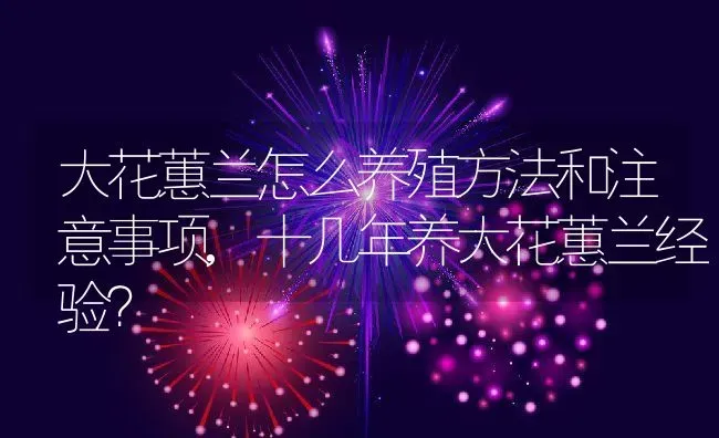 大花蕙兰怎么养殖方法和注意事项,十几年养大花蕙兰经验？ | 养殖科普