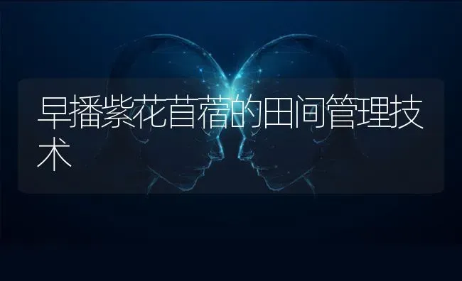 早播紫花苜蓿的田间管理技术 | 养殖技术大全