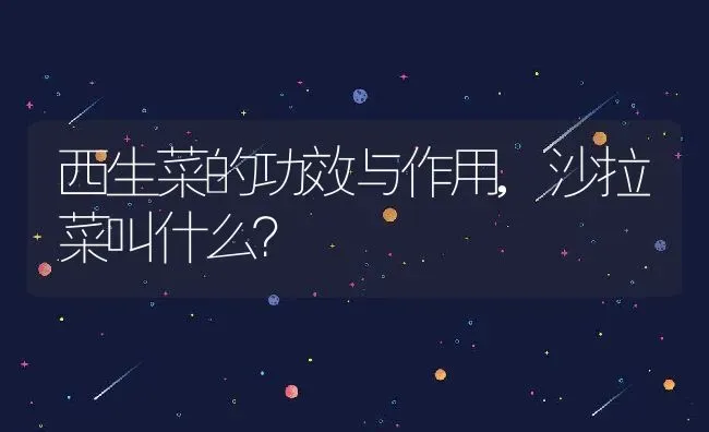 西生菜的功效与作用,沙拉菜叫什么？ | 养殖科普