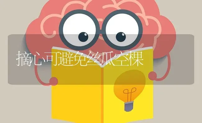 摘心可避免丝瓜空棵 | 养殖技术大全