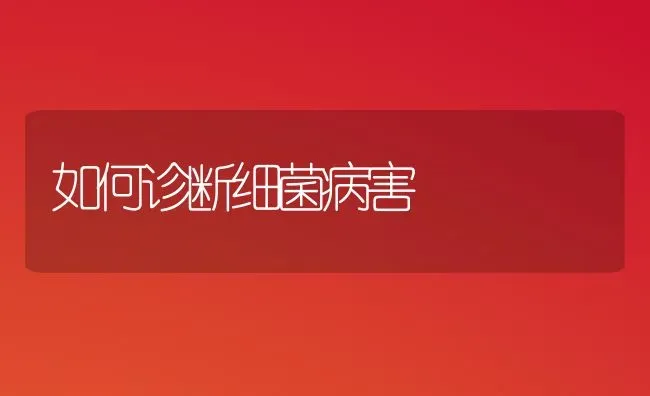 如何诊断细菌病害 | 养殖知识