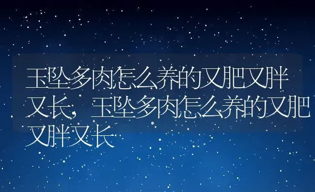 玉坠多肉怎么养的又肥又胖又长,玉坠多肉怎么养的又肥又胖又长 | 养殖科普