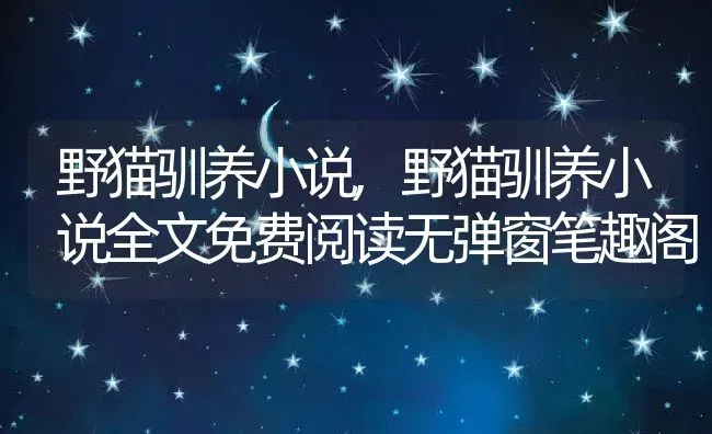 野猫驯养小说,野猫驯养小说全文免费阅读无弹窗笔趣阁 | 养殖资料