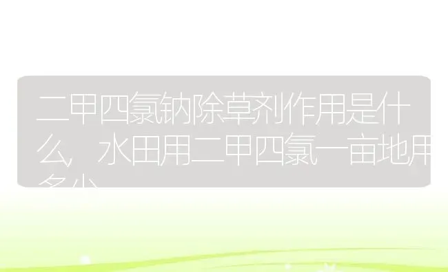二甲四氯钠除草剂作用是什么,水田用二甲四氯一亩地用多少 | 养殖学堂