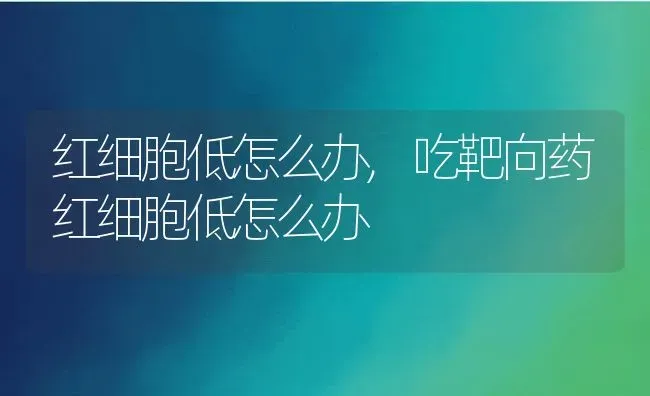 红细胞低怎么办,吃靶向药红细胞低怎么办 | 养殖科普