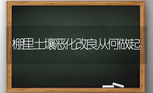 棚里土壤恶化改良从何做起 | 养殖技术大全