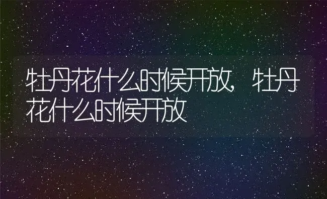 牡丹花什么时候开放,牡丹花什么时候开放 | 养殖科普