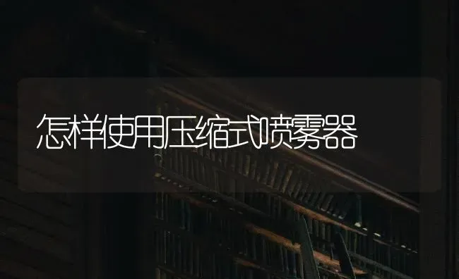 花生卷叶是病毒还是疮痂? | 养殖技术大全