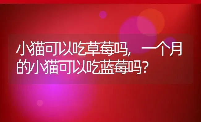 小猫可以吃草莓吗,一个月的小猫可以吃蓝莓吗？ | 养殖科普
