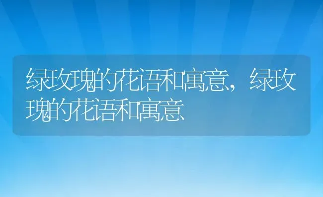 绿玫瑰的花语和寓意,绿玫瑰的花语和寓意 | 养殖科普