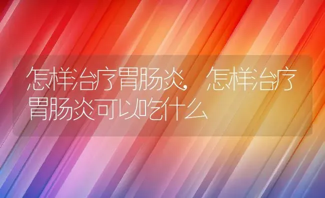 怎样治疗胃肠炎,怎样治疗胃肠炎可以吃什么 | 养殖资料