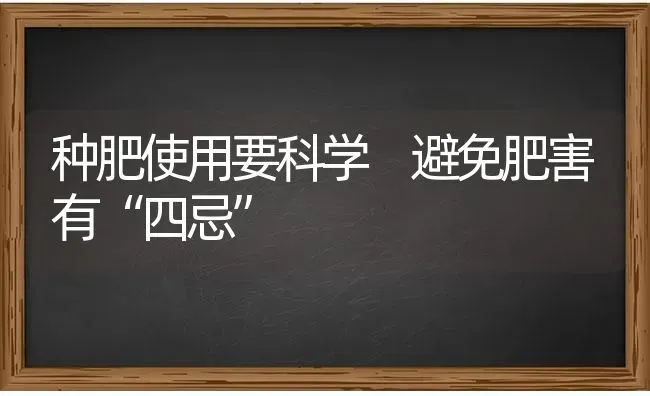 种肥使用要科学 避免肥害有“四忌” | 养殖技术大全