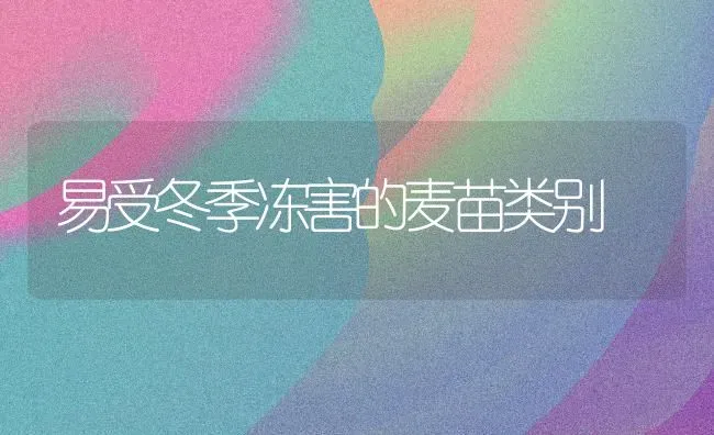 易受冬季冻害的麦苗类别 | 养殖知识