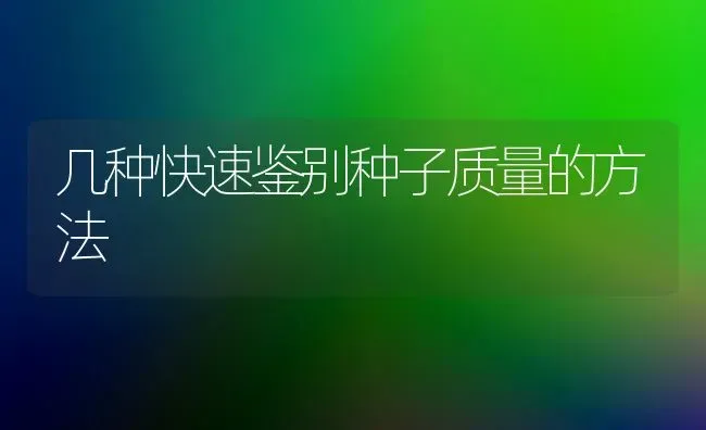 几种快速鉴别种子质量的方法 | 养殖知识