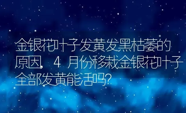 金银花叶子发黄发黑枯萎的原因,4月份移栽金银花叶子全部发黄能活吗？ | 养殖科普