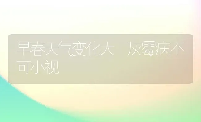 早春天气变化大 灰霉病不可小视 | 养殖技术大全