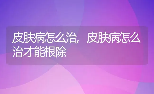 皮肤病怎么治,皮肤病怎么治才能根除 | 养殖资料