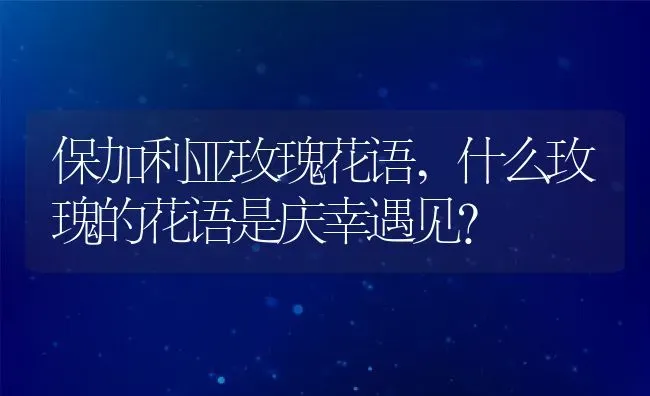 保加利亚玫瑰花语,什么玫瑰的花语是庆幸遇见？ | 养殖科普