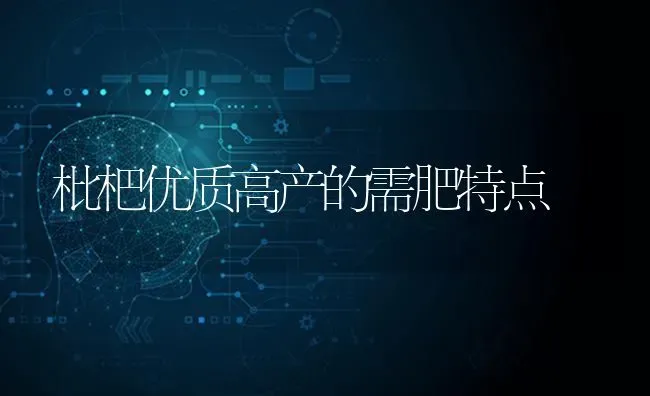 枇杷优质高产的需肥特点 | 养殖知识