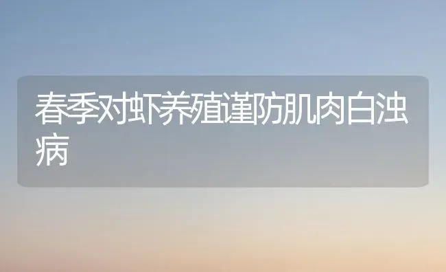 春季对虾养殖谨防肌肉白浊病 | 养殖知识