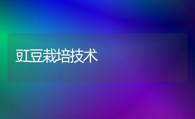 豇豆栽培技术 | 养殖技术大全