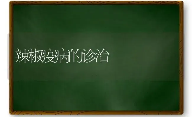 辣椒疫病的诊治 | 养殖知识