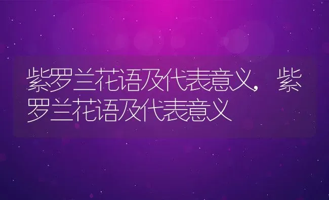 紫罗兰花语及代表意义,紫罗兰花语及代表意义 | 养殖科普