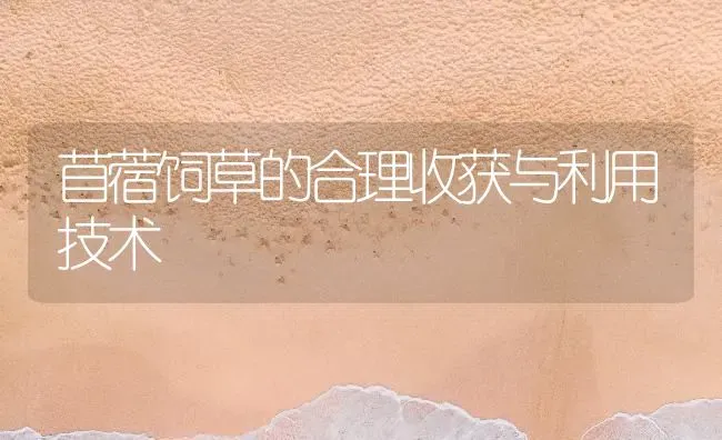 苜蓿饲草的合理收获与利用技术 | 养殖技术大全