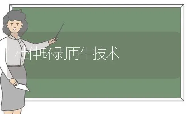 杜仲环剥再生技术 | 养殖技术大全