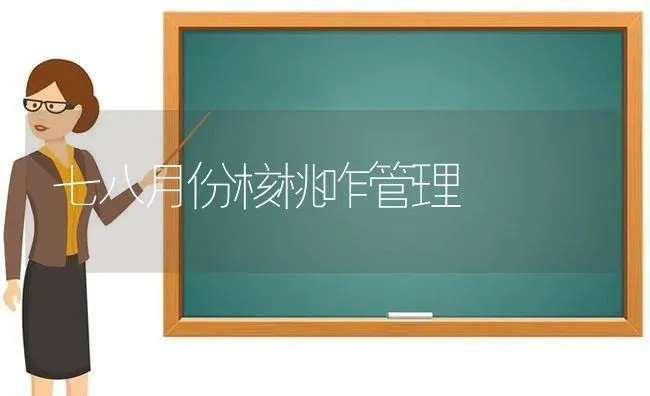 七八月份核桃咋管理 | 养殖知识