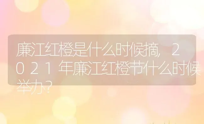廉江红橙是什么时候摘,2021年廉江红橙节什么时候举办？ | 养殖学堂