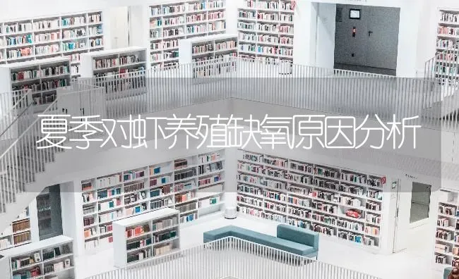 夏季对虾养殖缺氧原因分析 | 养殖技术大全