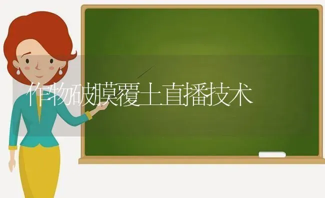 作物破膜覆土直播技术 | 养殖知识