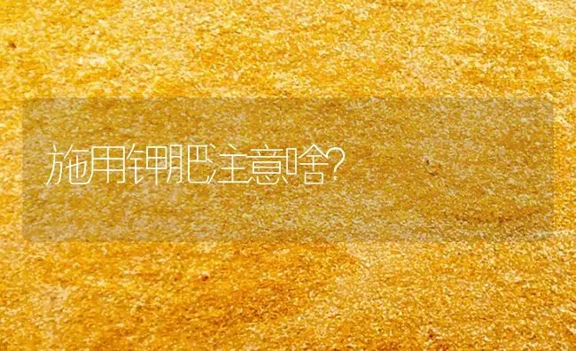 施用钾肥注意啥? | 养殖技术大全