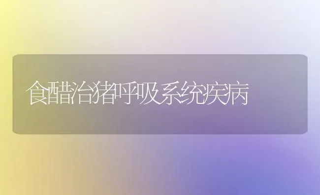 春季日本大葱高效栽培技术 | 养殖知识