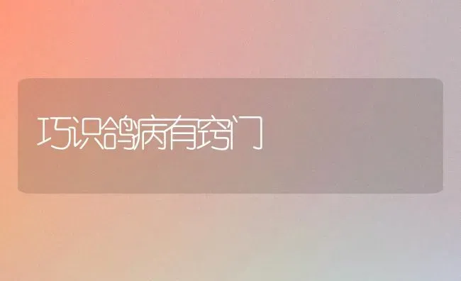 巧识鸽病有窍门 | 养殖技术大全